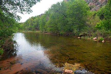 Sycamore Creek, Sycamore Canyon, April 16, 2015